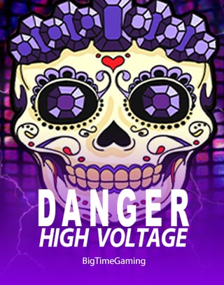 Danger High Voltage