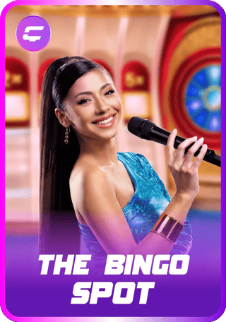 The Bingo Spot