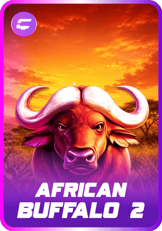 African Buffalo 2
