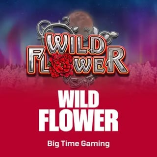 Wild Flower